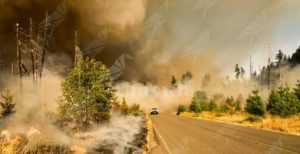 Protezione civile: “Al via la campagna estiva antincendio boschivo” item-thumbnail
