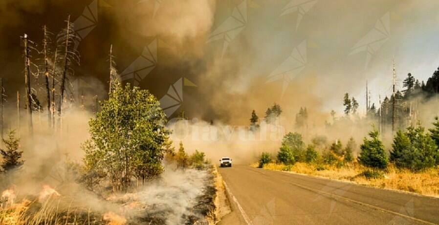 Protezione civile: “Al via la campagna estiva antincendio boschivo”