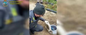 Blitz della Guardia di finanza nel reggino: due arresti per spaccio di droga e detenzione di armi clandestine item-thumbnail