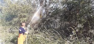 Caulonia: incendio in zona Candidati, interviene la protezione civile item-thumbnail