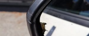 Beccato mentre metteva in atto la “truffa dello specchietto”, denunciato un ventenne item-thumbnail
