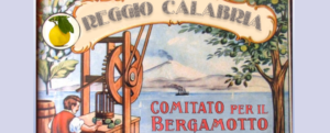 Il Comitato per il Bergamotto di Reggio Calabria contro Santelli e Muccino item-thumbnail