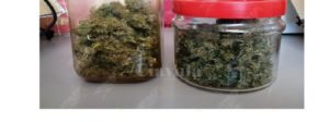 Sorpreso con quasi 200 grammi di marijuana e hashish. Arrestato item-thumbnail