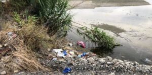Attiviamo Caulonia chiede la bonifica dell’argine dell’Allaro dai rifiuti item-thumbnail