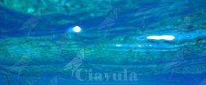 Su Ciavula anche foto “subacquee” nella rubrica “Cambiando Prospettiva” item-thumbnail