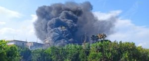 Incendio lungo la Statale 106 ad Aguglia di Caulonia item-thumbnail