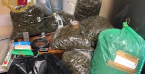 Nascondevano in casa 40 kg di marijuana item-thumbnail