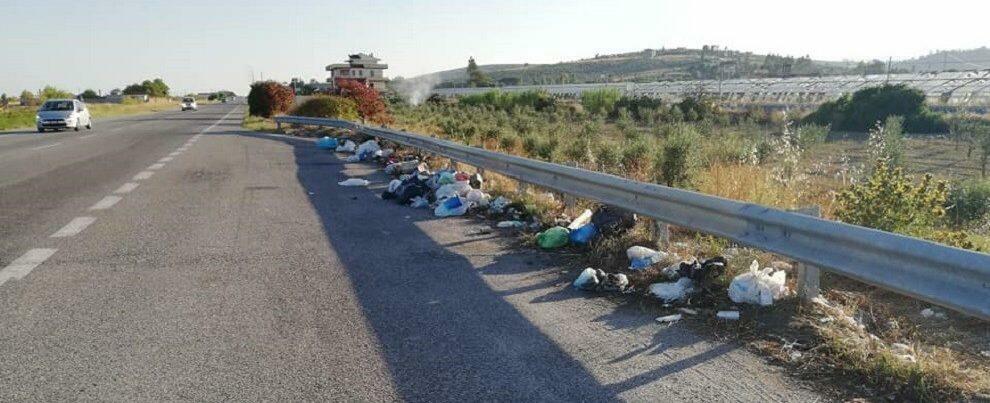 Legambiente Calabria: “Urge campagna contro l’abbandono dei rifiuti. Ferragosto non diventi un’occasione per gli incivili”