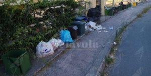 Spazzatura a Vasì di Caulonia: la segnalazione della lettrice item-thumbnail