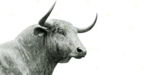 Calabria: toro imbizzarrito fugge dal circo e semina il panico item-thumbnail