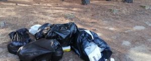 Inciviltà a Locri, rifiuti nella pineta nei pressi dell’area archeologica item-thumbnail