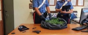 Beccato in auto con 14kg di marijuana dopo un rocambolesco inseguimento sulla statale 106 item-thumbnail