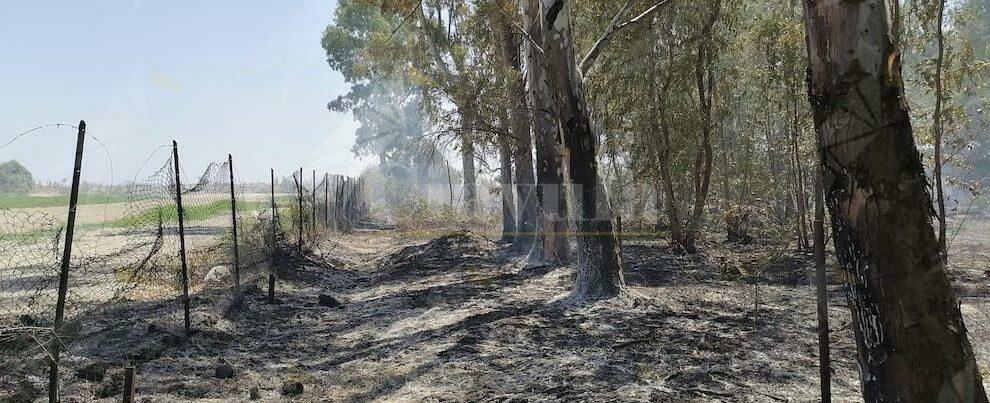 Incendio sul lungomare di Caulonia