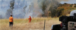 Incendio a Focà di Caulonia, interviene la protezione civile item-thumbnail