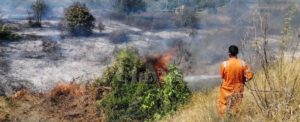 Incendio a Caulonia, in zona Candidati. La Protezione civile cerca di spegnerlo item-thumbnail