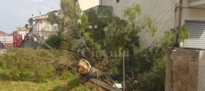 Tromba d’aria in Calabria, tetti divelti item-thumbnail
