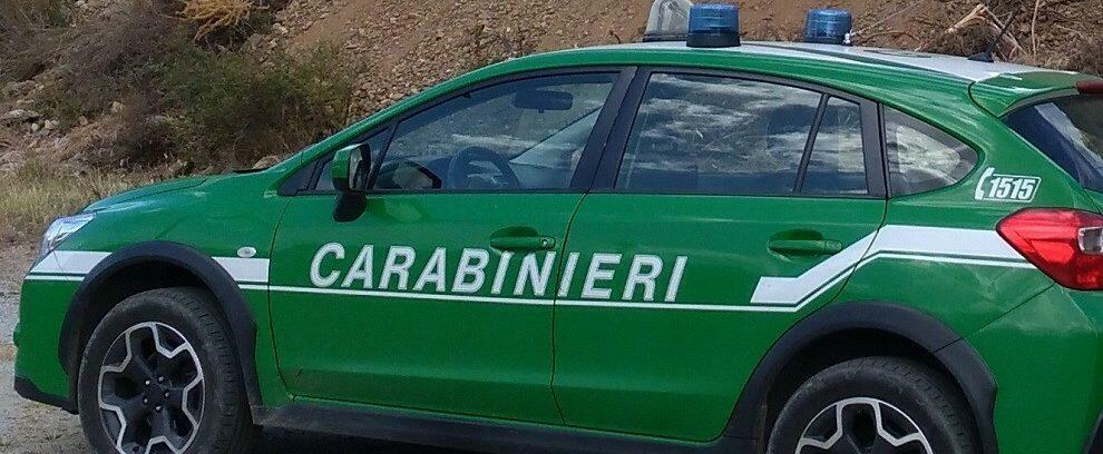 Calabria: rimangono bloccati in un fabbricato con un’auto in fiamme. Salvati dai carabinieri forestali