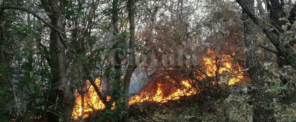 Ieri giornata di incendi a Placanica e Caulonia. Grande impegno della Protezione Civile