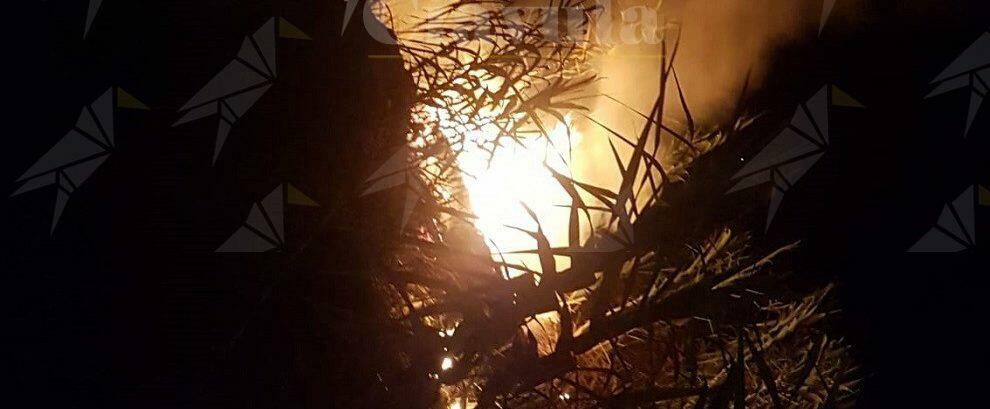 Incendio lungo la pista ciclabile che congiunge Caulonia e Roccella