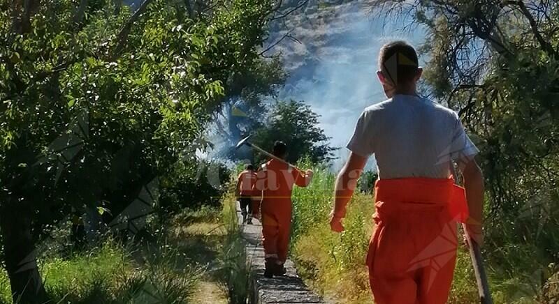 Incendio nella zona di Focà di Caulonia, intervenuta la protezione civile