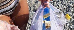 Fotonotizia: turiste ripuliscono la spiaggia di Caulonia item-thumbnail