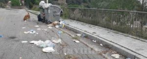 Santuario della Madonna dello Scoglio: il biglietto da visita del comune di Placanica item-thumbnail