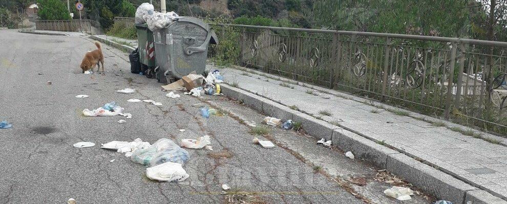 Santuario della Madonna dello Scoglio: il biglietto da visita del comune di Placanica