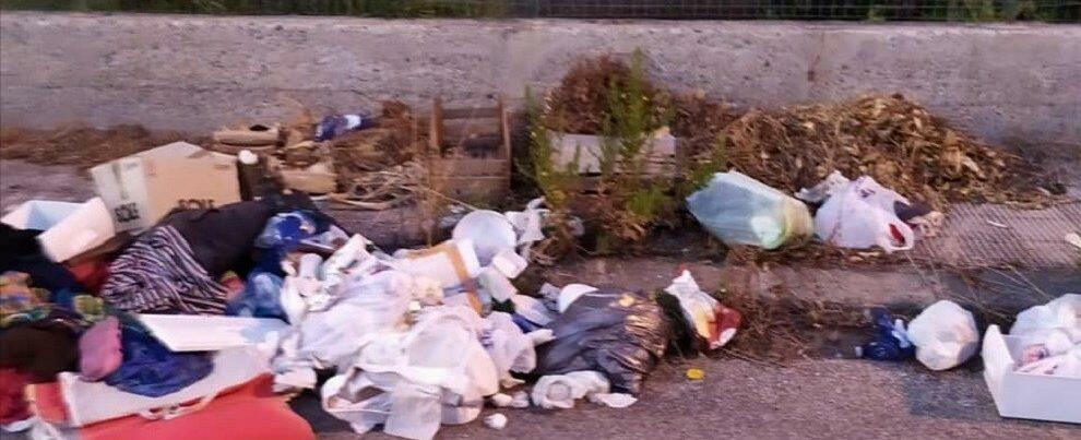Il sindaco di Locri contro gli zozzoni che gettano i rifiuti in strada: “Semplicemente…Bestie!”