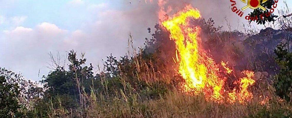 Incendi, nella giornata di ieri  più di 20 interventi dei vigili del fuoco nel vibonese