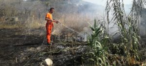 Incendio nella frazione cauloniese di Focà item-thumbnail