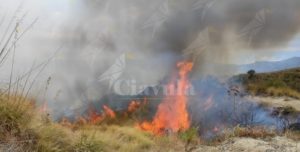 Grosso incendio in corso tra Caulonia e Placanica item-thumbnail