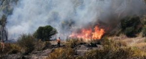 L’incendio di Santa Domenica si è esteso e i volontari della Protezione Civile faticano a domare le fiamme item-thumbnail