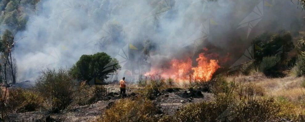 L’incendio di Santa Domenica si è esteso e i volontari della Protezione Civile faticano a domare le fiamme