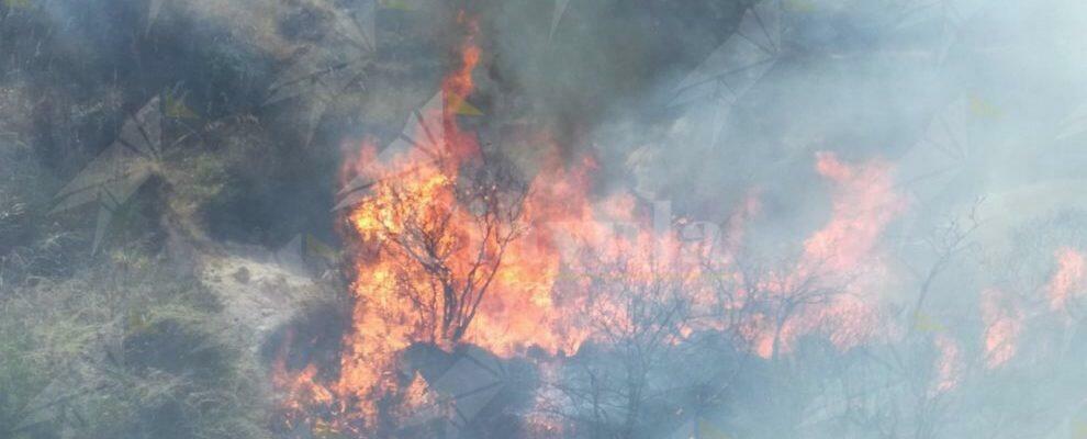 Caulonia, incendio in corso in contrada Marano