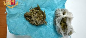 Calabria: Trovato in possesso di 90 grammi di cannabis, arrestato item-thumbnail