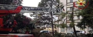 Tromba d’aria a Gioia Tauro: container rovesciati, alberi sradicati e cartelloni pubblicitari divelti item-thumbnail