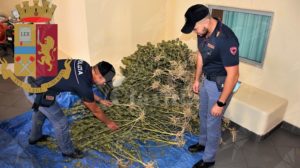 Beccato con di 120 grammi di cocaina e 32 kg di marijuana, arrestato item-thumbnail