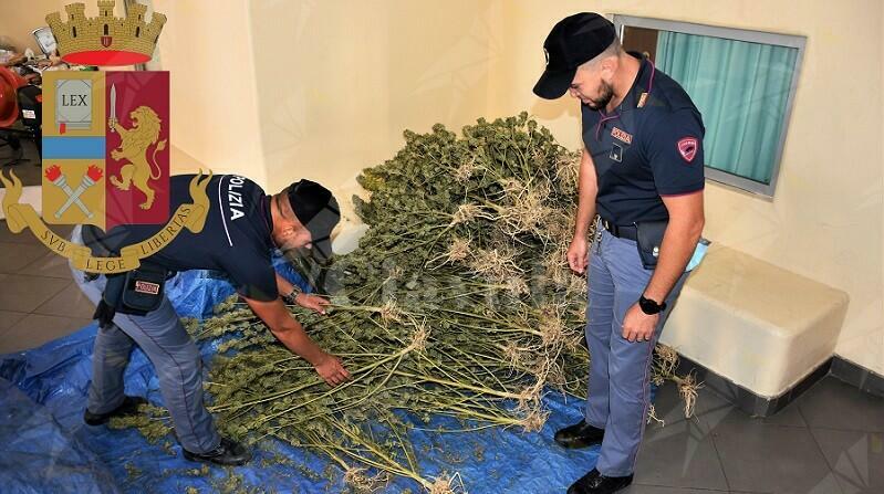 Beccato con di 120 grammi di cocaina e 32 kg di marijuana, arrestato