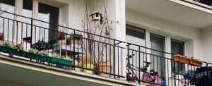 Tenta di disfarsi della droga lanciandola dalla finestra, ma i poliziotti se ne accorgono item-thumbnail