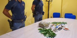 Sorpresi con mezzo kg di marijuana, arrestati item-thumbnail