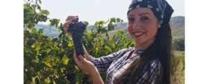Il vino DOC di Bivongi si fa strada nei mercati internazionali. Adele Lavorata è presidente del consorzio che lo promuove item-thumbnail