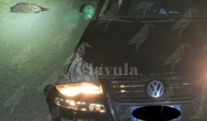San Nicola di Caulonia: Automobilista investe cinghiale di 100 kg. Morto l’animale, macchina distrutta item-thumbnail