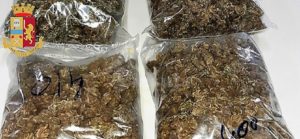 In autostrada con quasi 1 kg di marijuana, arrestato item-thumbnail