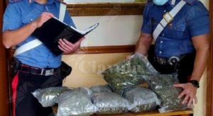 Scovata piantagione di marijuana in Calabria, tre persone in manette item-thumbnail