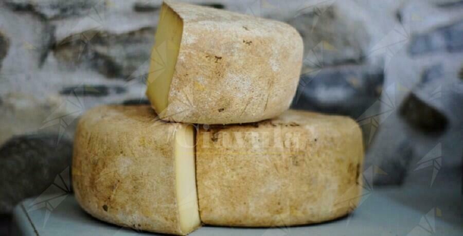 “Caulonia al tempo dei nonni”: La preparazione del formaggio