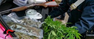 Arrestata un’intera famiglia di Bovalino. Trovate circa mille piante di canapa ed un fucile detenuto illegalmente item-thumbnail