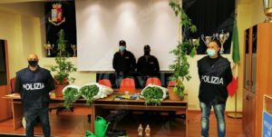 Militare dell’esercito italiano arrestato per coltivazione di marijuana item-thumbnail