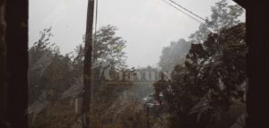 Maltempo, previsti forti venti in Calabria item-thumbnail