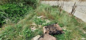 Il Comitato di Quartiere Moschetta di Locri, chiede la manutenzione e la pulizia dei torrenti Cebbie, Lucifero e Barro item-thumbnail