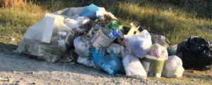 Caulonia, ancora rifiuti abbandonati lungo l’Amusa item-thumbnail
